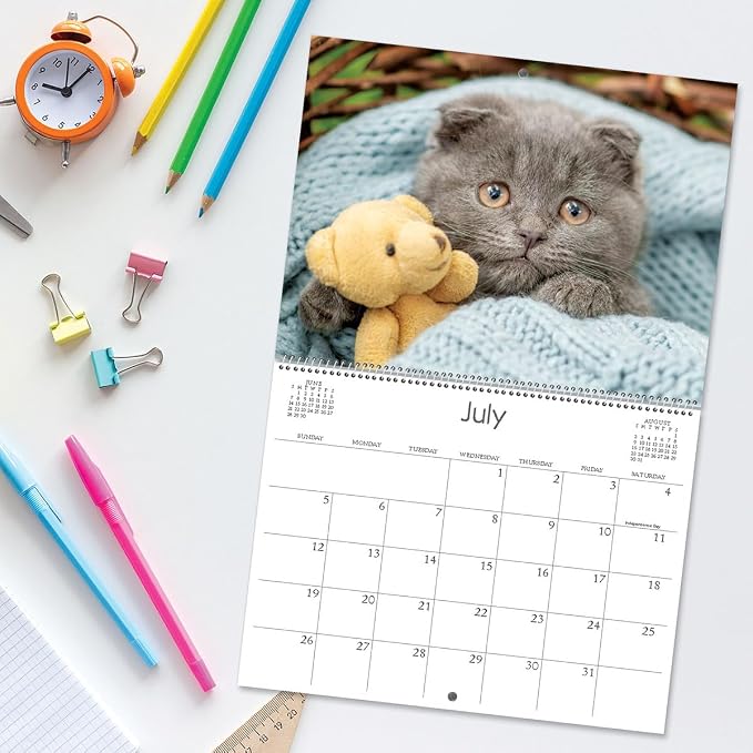 Current 2026 Love Those Cats Wall Calendar, 12-Inch x 9-Inch Size Closed, 18-Inch Size Open, Large Bookstore-Quality, Spiral-Bound Hanging Monthly Wall Calendars for Kitchen & Office