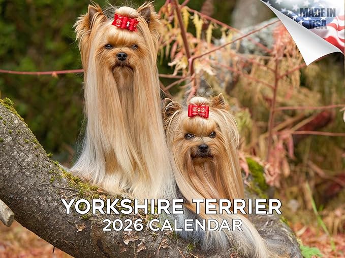 2025 2026 Yorkshire Terrier Calendar - Dog Breed Monthly Wall Calendar - 12" x 18" Open - Thick No-Bleed Paper - Giftable - Academic Teacher's Planner Calendar Organizing & Planning - Made in USA