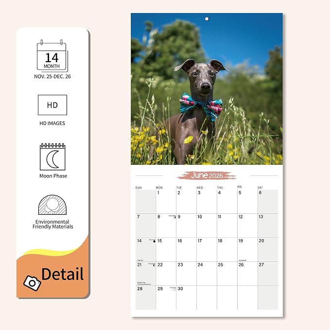 2026 Wall Calendar Italian Greyhound Planner Calendar, Hangable Monthly Wall Calendar with Large Blocks for Organizing & Planning, Academic Schedule, Home, Office & family, Thick & Sturdy Paper (12"x24" Open)