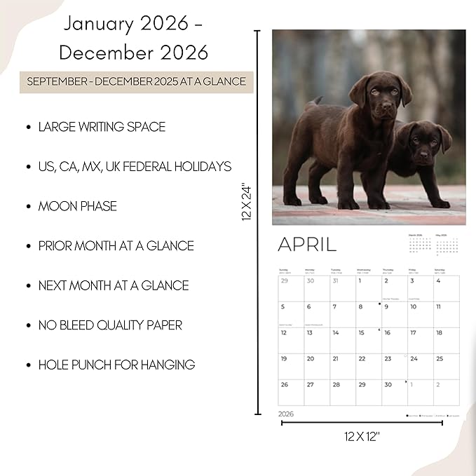2026 Chocolate Labrador Puppies Wall Calendar | 12" x 24" Open | Dog Photography Thick & Sturdy Paper for Organizing & Planning | Office Kitchen Decor or Gift | Pacific Waters Press (Chocolate Lab Puppies)