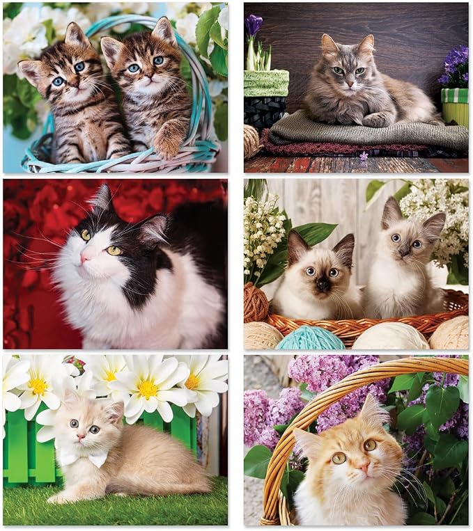 Current 2026 Love Those Cats Wall Calendar, 12-Inch x 9-Inch Size Closed, 18-Inch Size Open, Large Bookstore-Quality, Spiral-Bound Hanging Monthly Wall Calendars for Kitchen & Office