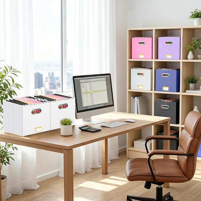 BALEINE File Organizer Box, Cardboard File Folder Organizer with Handle for Letter Size, Portable Collapsible Hanging Filing Box for Home Office Document Storage (1 Pack, Large White)