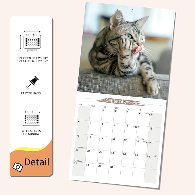 Wall Calendar 2026 Planner Calendar - Cat Memes Hangable Monthly Wall Calendar with Large Blocks for Organizing & Planning, Academic Schedule, Home, Office & family, Thick & Sturdy Paper (12"x24" Open)