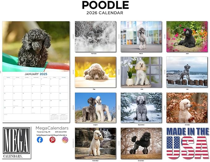 2025 2026 Poodle Calendar - Dog Breed Monthly Wall Calendar - 12" x 18" Open - Thick No-Bleed Paper - Giftable - Academic Teacher's Planner Calendar Organizing & Planning - Made in USA