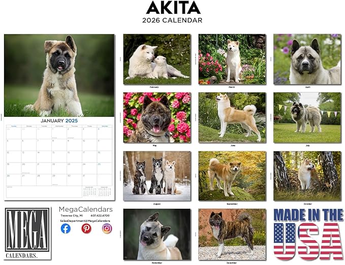 2025 2026 Akita Calendar - Dog Breed Monthly Wall Calendar - 12" x 18" Open - Thick No-Bleed Paper - Giftable - Academic Teacher's Planner Calendar Organizing & Planning - Made in USA