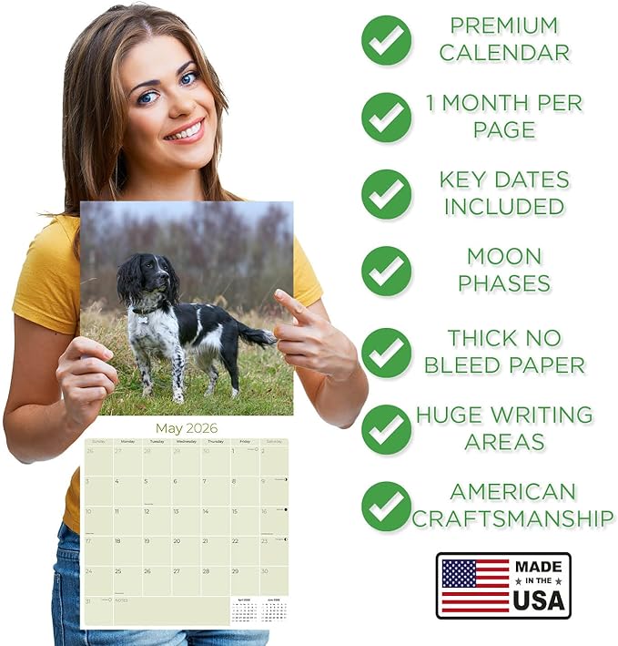 English Springer US Calendar 2026 by MegaCalendars – Monthly Dog Breed Wall Calendar, Made in USA