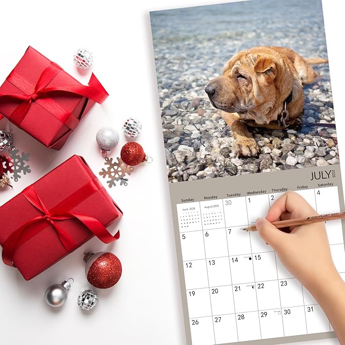 2025-2026 Wall Calendar,Shar Pei Wall Calendar, 12" x 24" Open,Family Planner Calendar Organizer with Shar Pei Images, for Dogs Lovers