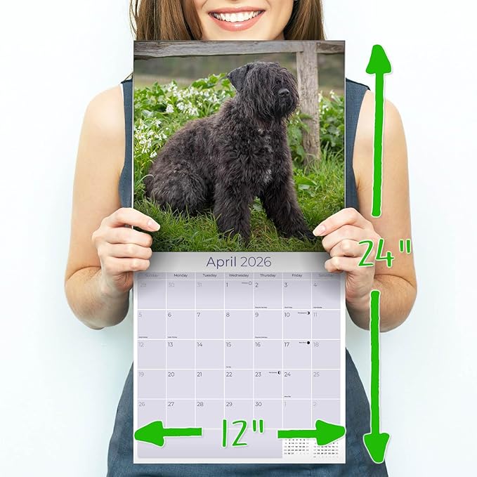 Bouvier Des Flandres Calendar 2026 by MegaCalendars – Monthly Dog Breed Wall Calendar, Made in USA
