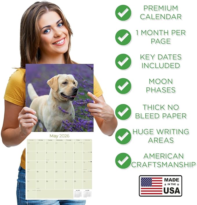 Yellow Labrador Retrievers Calendar 2026 by MegaCalendars – Monthly Dog Breed Wall Calendar, Made in USA