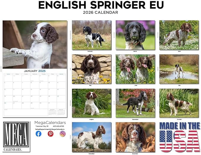 2025 2026 English Springer EU Calendar - Dog Breed Monthly Wall Calendar - 12" x 18" Open - Thick No-Bleed Paper - Giftable - Academic Teacher's Planner Calendar Organizing & Planning - Made in USA