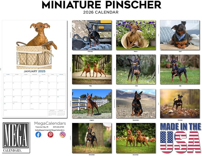 2025 2026 Miniature Pinscher Calendar - Dog Breed Monthly Wall Calendar - 12" x 18" Open - Thick No-Bleed Paper - Giftable - Academic Teacher's Planner Calendar Organizing & Planning - Made in USA