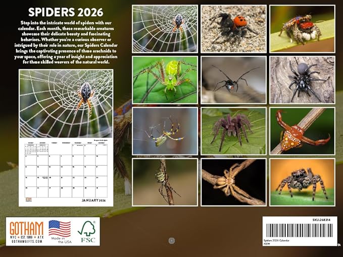 Spider Calendar 2026 Spiders Monthly Wall Calender 12 Month | American Made In The USA
