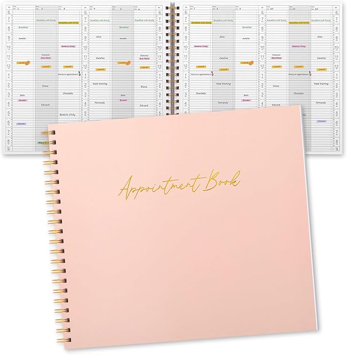 Maitys 2026-2027 Large 6 Column Salon Appointment Book for Hairstylist Spa Business, Hourly Planner 15 Minute Interval, 200 Pages Undated 6 Am 9 Pm Spiral Bound Checklist Planner(Pink, Minimalist)