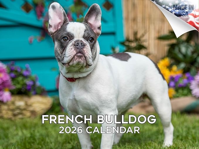 2025 2026 French Bulldog Calendar - Dog Breed Monthly Wall Calendar - 12" x 18" Open - Thick No-Bleed Paper - Giftable - Academic Teacher's Planner Calendar Organizing & Planning - Made in USA
