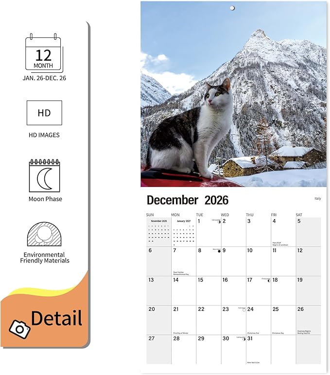 Wall Calendar 2026 Planner Calendar - Cat arond a world Hangable Monthly Wall Calendar with Large Blocks for Organizing & Planning, Academic Schedule, Home, Office & family, Thick & Sturdy Paper (12"x24" Open)