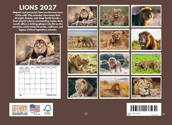 Lion Calendar 2027 Lions Monthly Wall Calender 12 Month