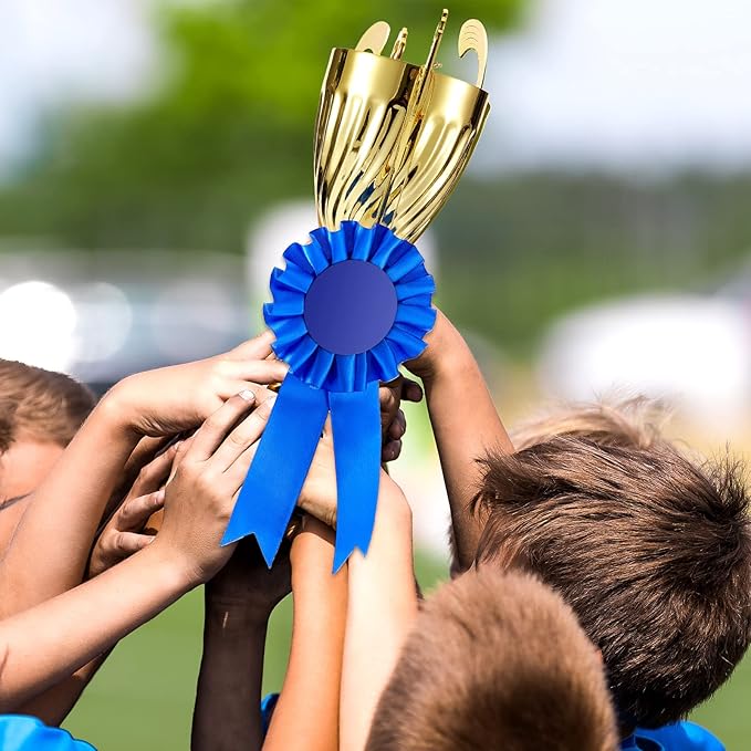 Henoyso 18 Pcs Blank Award Ribbon 1st Place Rosette Prize Award Medals Ribbons Recognition Participation Badges for Competition DIY Party Accessory Science Fair Talent Show(Blue)
