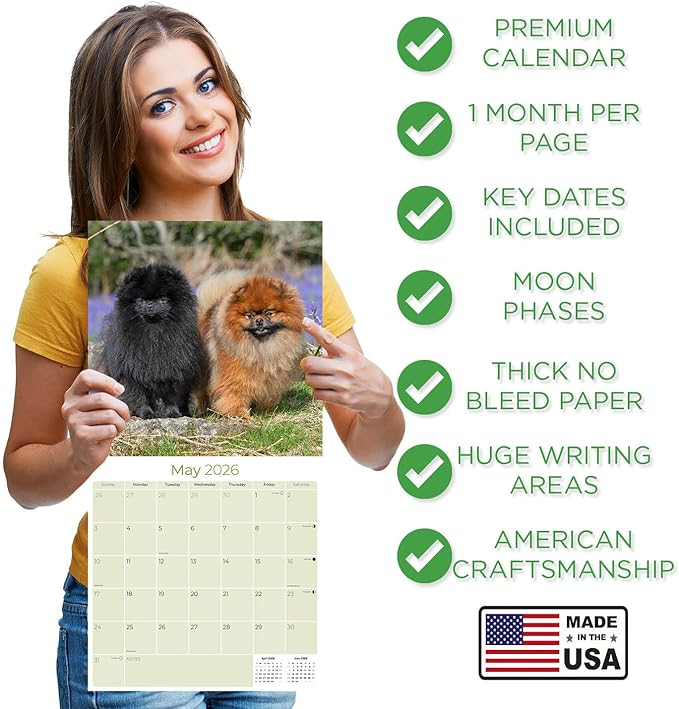 Pomeranian Calendar 2026 – 16-Month Dog Breed Wall Calendar by MegaCalendars – Large Daily Blocks, Thick No-Bleed Paper, Made in USA