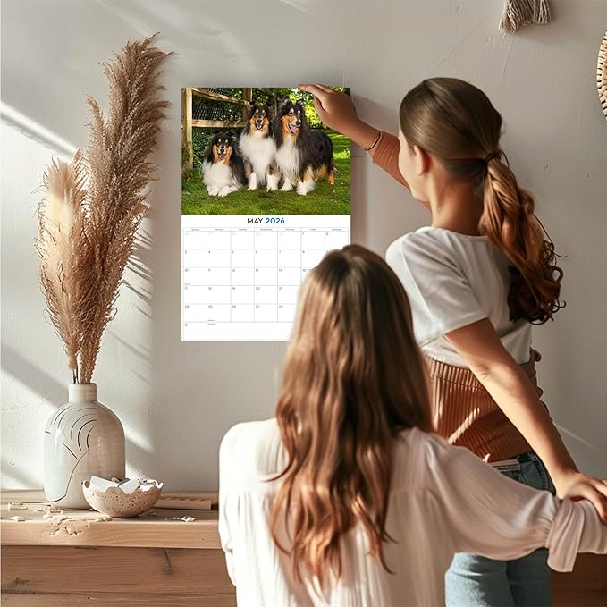 2025 2026 Collie Calendar - Dog Breed Monthly Wall Calendar - 12" x 18" Open - Thick No-Bleed Paper - Giftable - Academic Teacher's Planner Calendar Organizing & Planning - Made in USA