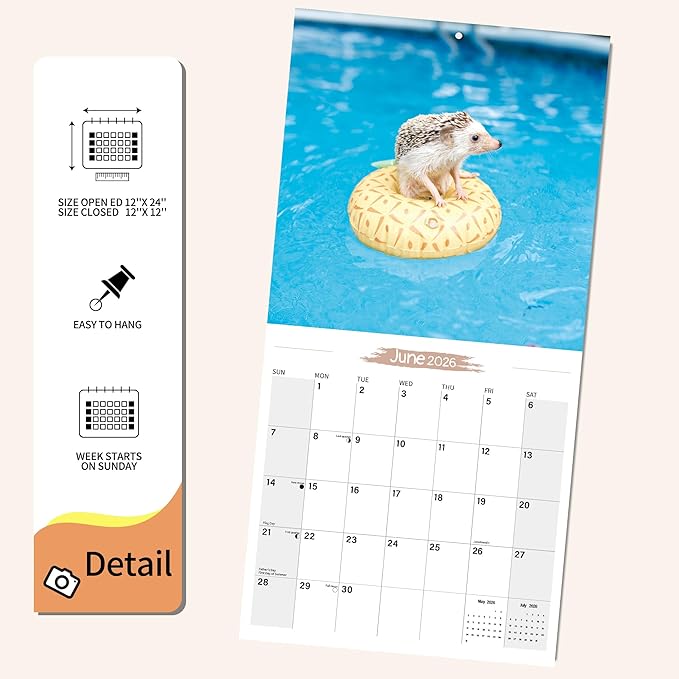 Wall Calendar 2026 Planner Calendar - Hedgehog Hangable Monthly Wall Calendar with Large Blocks for Organizing & Planning, Academic Schedule, Home, Office & family, Thick & Sturdy Paper (12"x24" Open)
