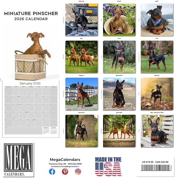 Miniature Pinscher Calendar 2026 by MegaCalendars – Monthly Dog Breed Wall Calendar, Made in USA