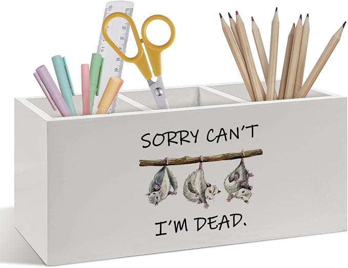 Funny Opossum Pen Pencil Holder, Sarcastic Humorous Gifts for Women Men, Funny Desk Accessories, Sorry Can't I'm Dead Wooden Pen Pencil Organizer for Office Home Desk Decor
