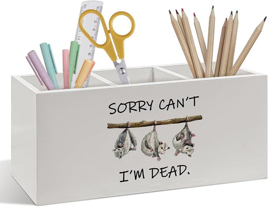 Funny Opossum Pen Pencil Holder, Sarcastic Humorous Gifts for Women Men, Funny Desk Accessories, Sorry Can't I'm Dead Wooden Pen Pencil Organizer for Office Home Desk Decor
