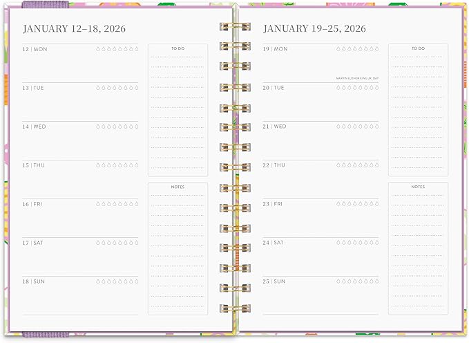 Orange Circle Studio 2026 Planner, Pickleball Rally, Oliver Planners, Wire-O Bound Monthly Calendar Book, Appointment, Goal & Budget Trackers, Includes 100 Full Color Stickers