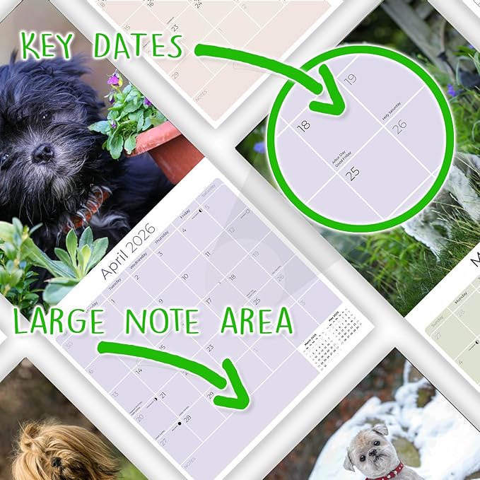 2025 2026 Lhasa Apso Calendar - Dog Breed Monthly Wall Calendar - 12" x 24" Open - Thick No-Bleed Paper - Giftable - Academic Teacher's Planner Calendar Organizing & Planning - Made in USA