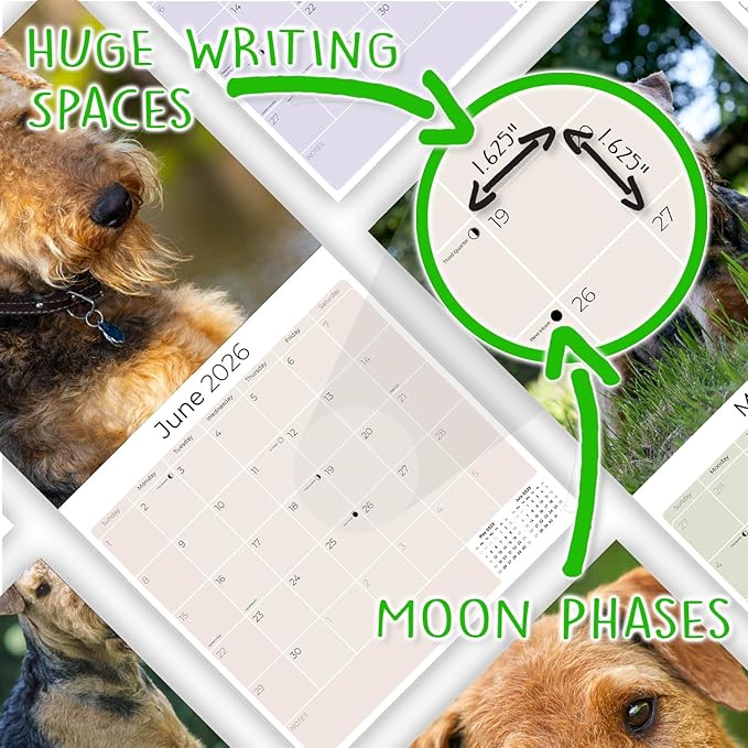 Airedale Calendar 2026 by MegaCalendars – Monthly Dog Breed Wall Calendar, Made in USA