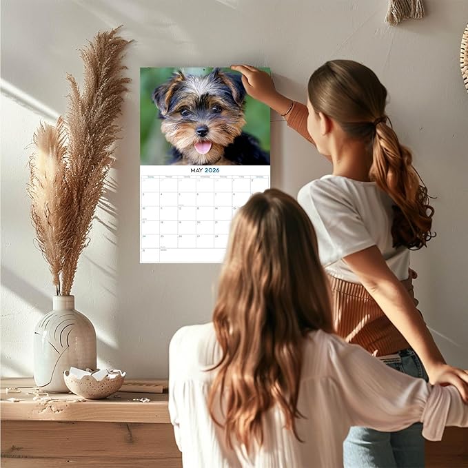 2025 2026 Yorkshire Terrier Puppies Calendar - Dog Breed Monthly Wall Calendar - 12" x 18" Open - Thick No-Bleed Paper - Giftable - Academic Teacher's Planner Calendar Organizing & Planning - Made USA