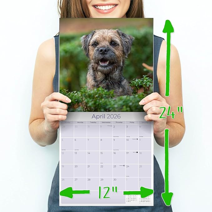 Border Terrier Calendar 2026 by MegaCalendars – Monthly Dog Breed Wall Calendar, Made in USA