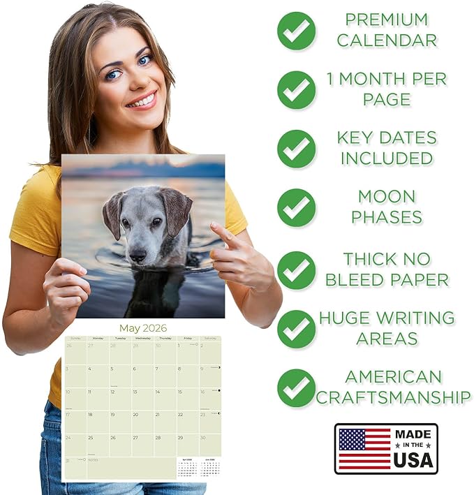Beagle Calendar 2026 by MegaCalendars – Monthly Dog Breed Wall Calendar, Made in USA