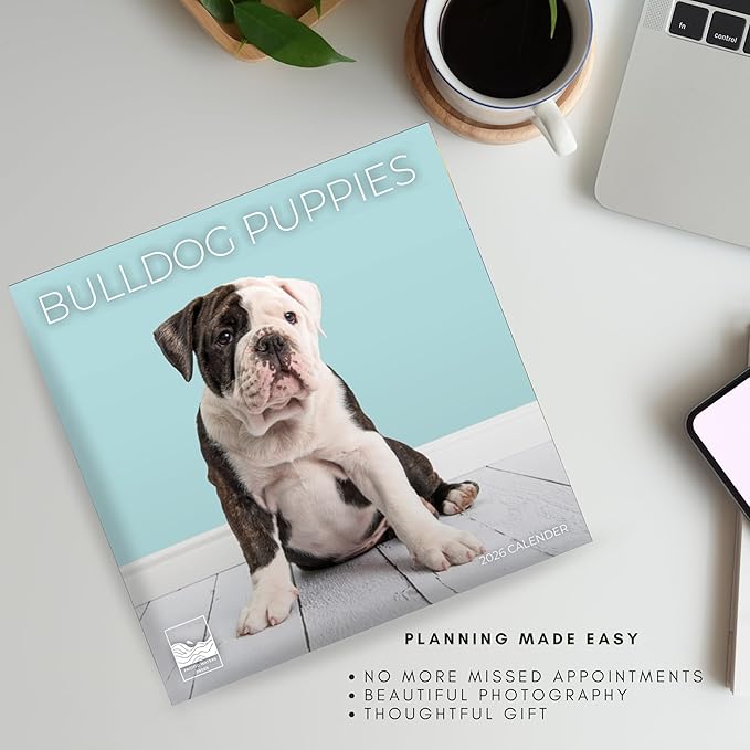 Bulldog Puppy 2026 Wall Calendar | 12" x 24" Open Calendar | Dog Photography Thick & Sturdy Paper for Organizing & Planning | Office Kitchen Decor or Gift | Pacific Waters Press (Bulldog Puppies)