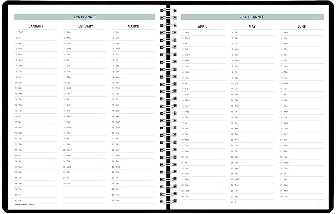Blueline® 2026 Plan & Link™ Essential Weekly Planner, Appointment Book, 12 Months, January to December, 11" x 9.0625", Black (C5950.81T-26)