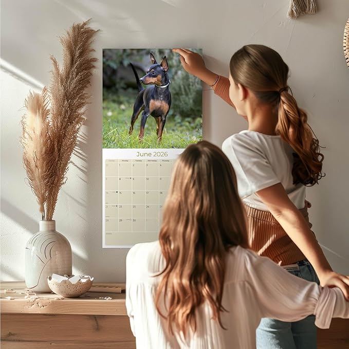 Miniature Pinscher Calendar 2026 by MegaCalendars – Monthly Dog Breed Wall Calendar, Made in USA