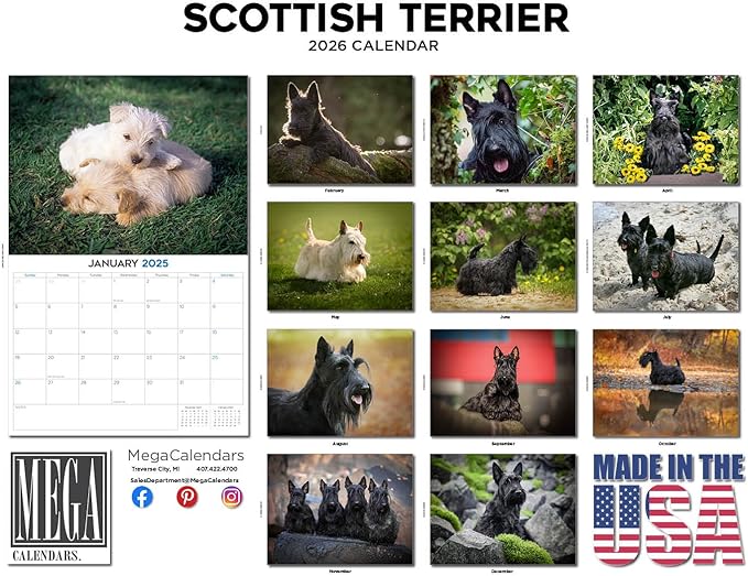 2025 2026 Scottish Terrier Calendar - Dog Breed Monthly Wall Calendar - 12" x 18" Open - Thick No-Bleed Paper - Giftable - Academic Teacher's Planner Calendar Organizing & Planning - Made in USA