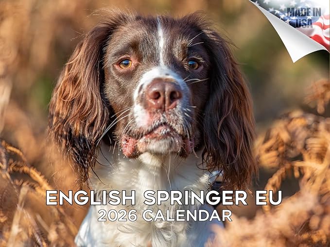 2025 2026 English Springer EU Calendar - Dog Breed Monthly Wall Calendar - 12" x 18" Open - Thick No-Bleed Paper - Giftable - Academic Teacher's Planner Calendar Organizing & Planning - Made in USA