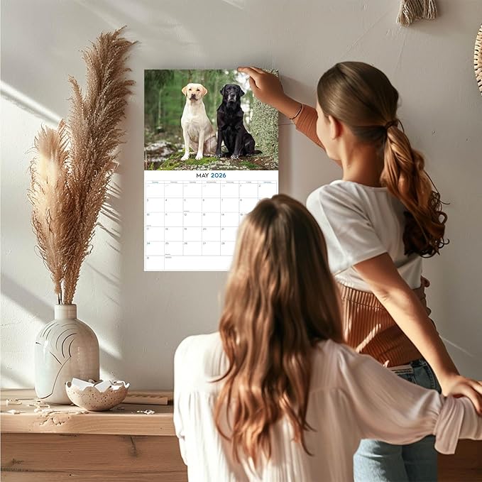 2025 2026 Labrador Mixed Calendar - Dog Breed Monthly Wall Calendar - 12" x 18" Open - Thick No-Bleed Paper - Giftable - Academic Teacher's Planner Calendar Organizing & Planning - Made in USA