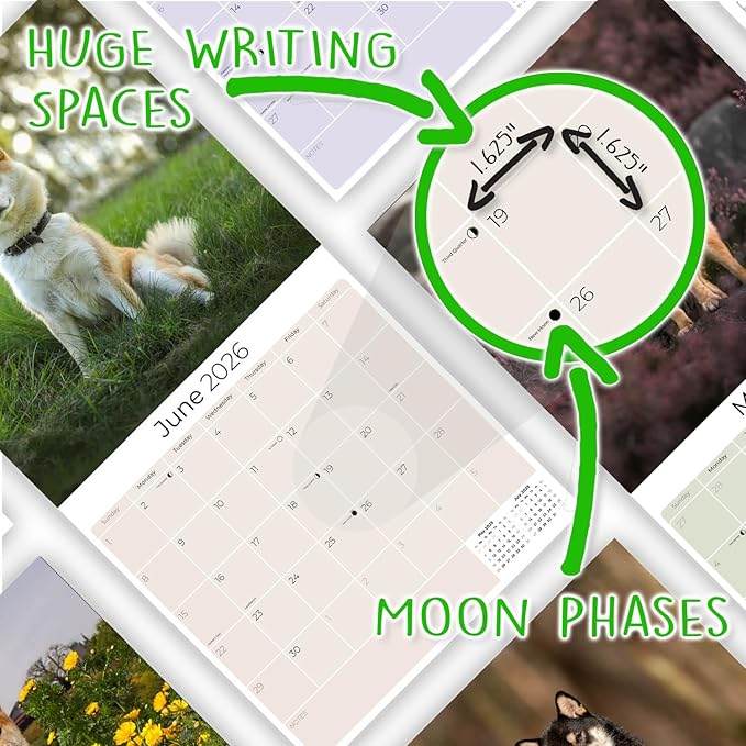 Shiba Inu Calendar 2026 by MegaCalendars – Monthly Dog Breed Wall Calendar, Made in USA