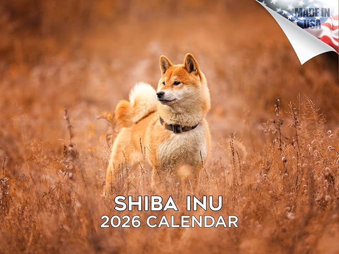 2025 2026 Shiba Inu Calendar - Dog Breed Monthly Wall Calendar - 12" x 18" Open - Thick No-Bleed Paper - Giftable - Academic Teacher's Planner Calendar Organizing & Planning - Made in USA