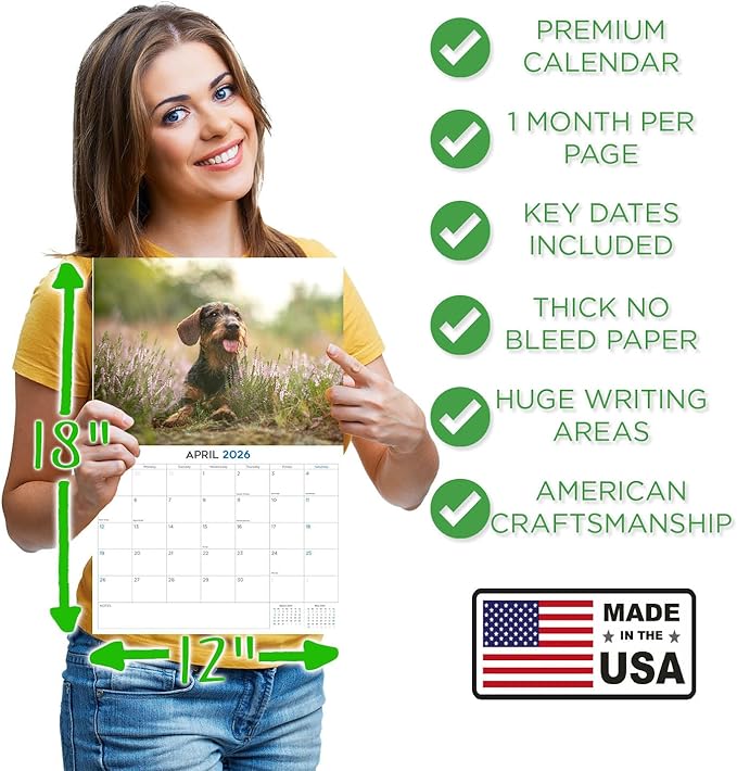 2025 2026 Dachshund Wirehaired Calendar - Dog Breed Monthly Wall Calendar - 12" x 18" Open - Thick No-Bleed Paper - Giftable - Academic Teacher's Planner Calendar Organizing & Planning - Made in USA