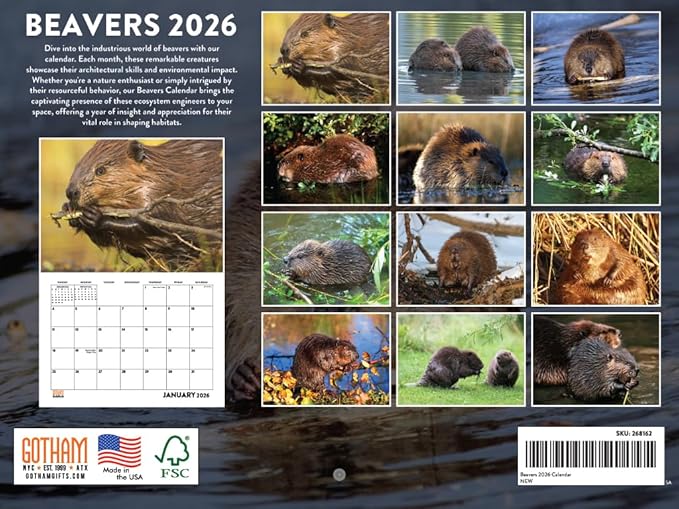Beaver Calendar 2026 Monthly Wall Calender 12 Month | American Made In The USA