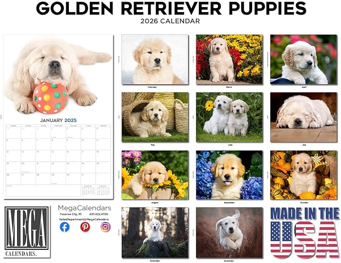 2025 2026 Golden Retriever Pups Calendar - Dog Breed Monthly Wall Calendar - 12" x 18" Open - Thick No-Bleed Paper - Giftable - Academic Teacher's Planner Calendar Organizing & Planning - Made in USA