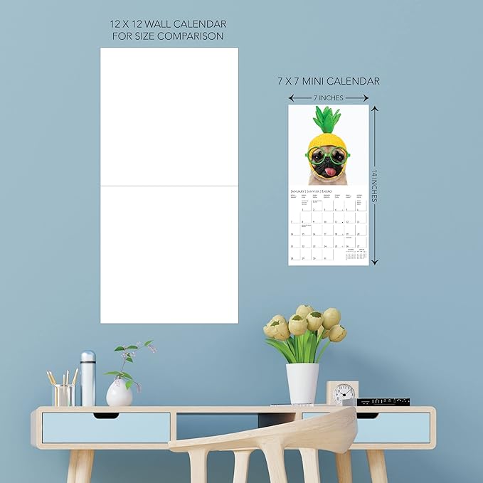 Graphique 2024 Pawparazzi Mini Wall Calendar | 7” x 7” | Thick Paper | Home & Office Organizer | Large Monthly Grid | 3 Languages & Marked Holidays | 4 Month Preview Page for 2025