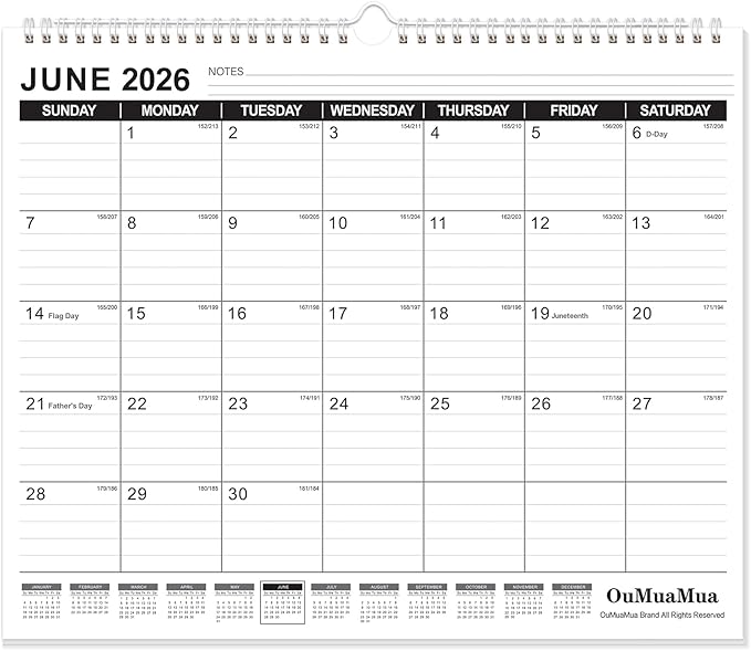 OuMuaMua Wall Calendar 2026, Calendar Wall 2026-2027, Jun. 2026 to Dec. 2027, 14" X 11.5" 19-Month Paper Hanging Planner Wall with Thick Paper, Ruled Blocks for Office Home Planning & Organizing