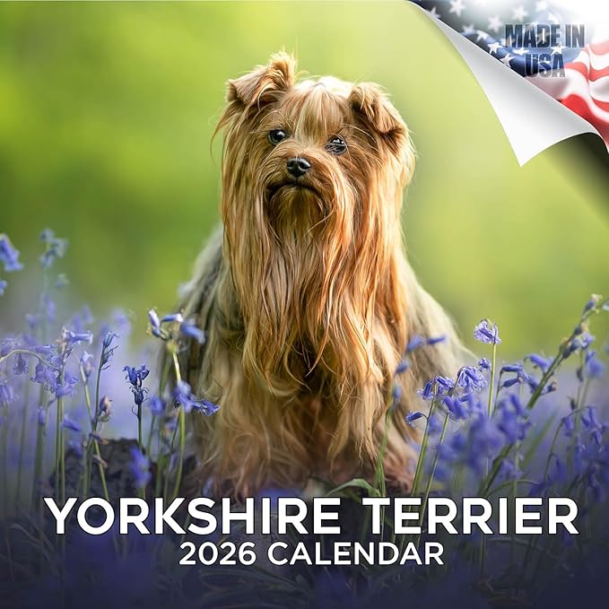 Yorkshire Terrier Calendar 2026 by MegaCalendars – Monthly Dog Breed Wall Calendar, Made in USA