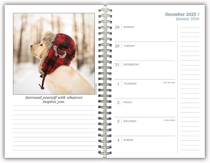 Dogma 2026 Weekly & Monthly Planner, 12-Month Calendar Book with Funny Dog Photography: A Dog’s Guide to Life, 2026