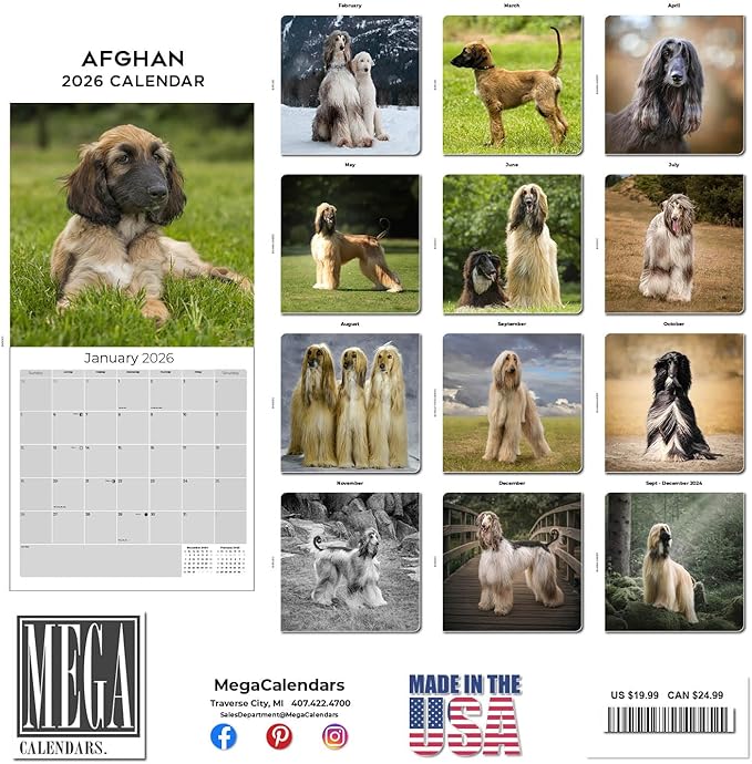 Afghan Hound Calendar 2026 - Monthly Dog Breed Wall Calendar, 12x24 Open, Thick No-Bleed Paper, Made in USA by MegaCalendars