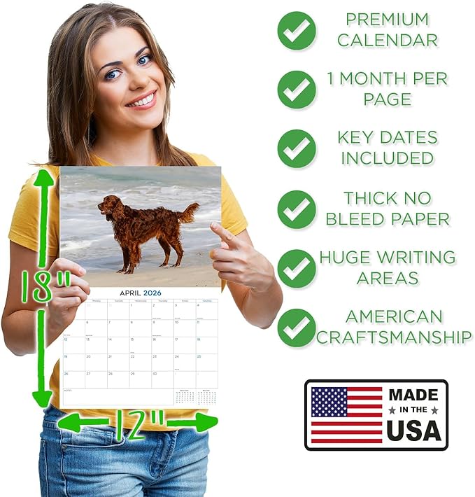 2025 2026 Irish Setter Calendar - Dog Breed Monthly Wall Calendar - 12" x 18" Open - Thick No-Bleed Paper - Giftable - Academic Teacher's Planner Calendar Organizing & Planning - Made in USA